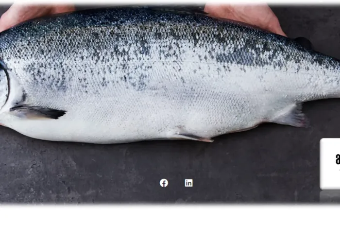 Acuerdo de suministro de salmón noruego entre Alepa Food y First Seafood